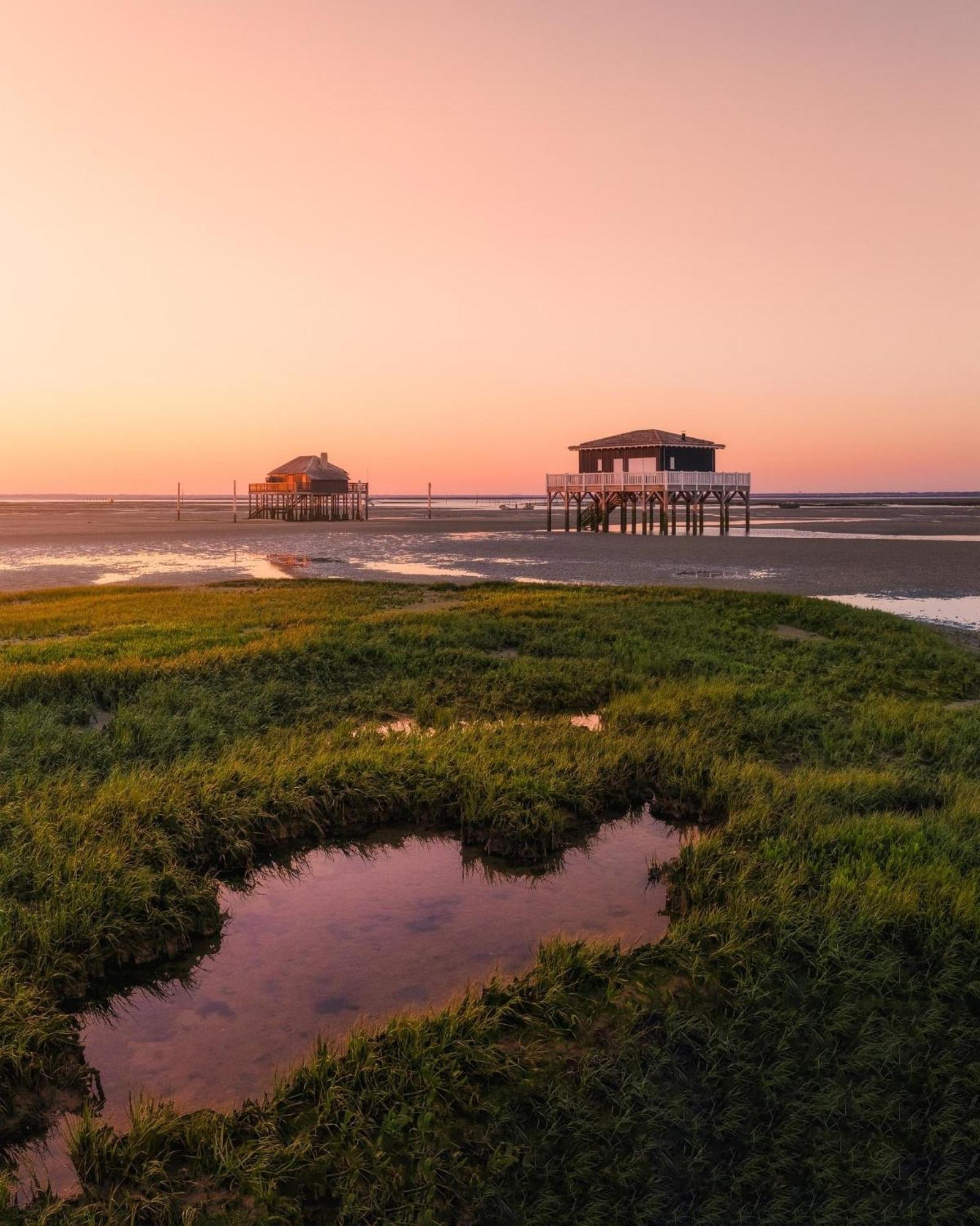 Cocon entre presqu'île du Cap Ferret et plages océanes - terrasse - vélo gratuit Ares Exterior foto