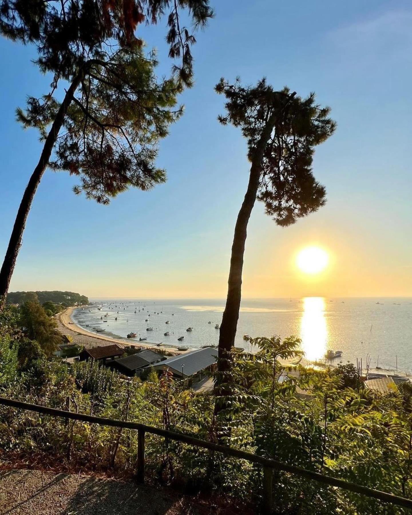 Cocon entre presqu'île du Cap Ferret et plages océanes - terrasse - vélo gratuit Ares Exterior foto