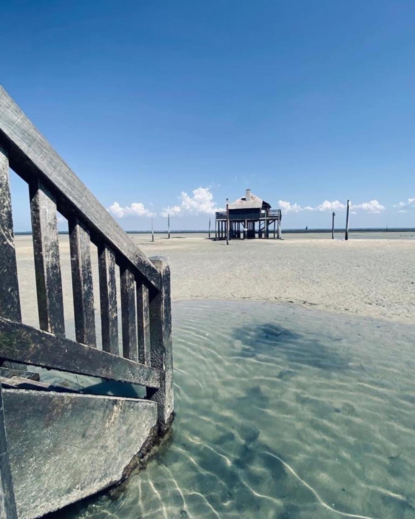 Cocon entre presqu'île du Cap Ferret et plages océanes - terrasse - vélo gratuit Ares Exterior foto