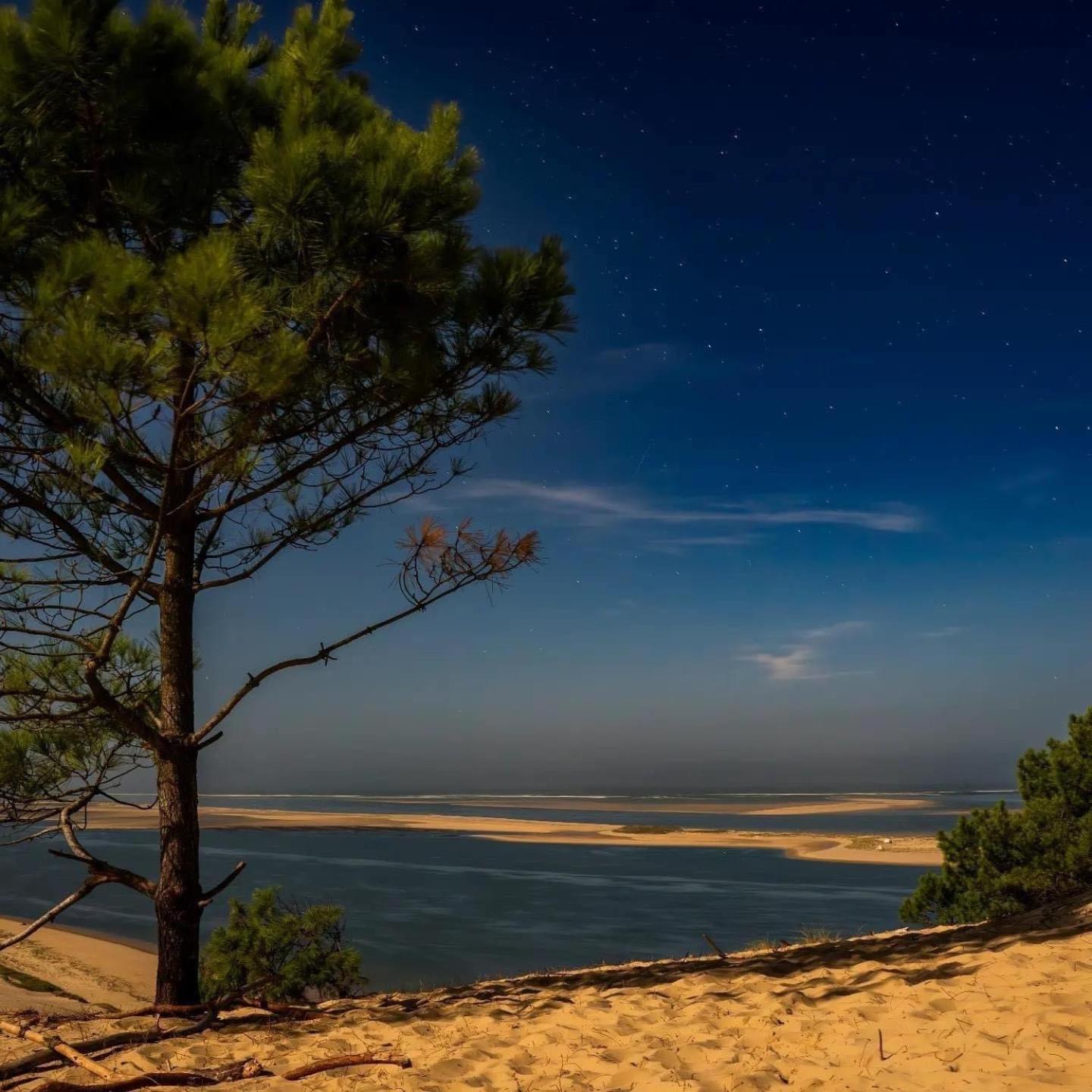 Cocon entre presqu'île du Cap Ferret et plages océanes - terrasse - vélo gratuit Ares Exterior foto