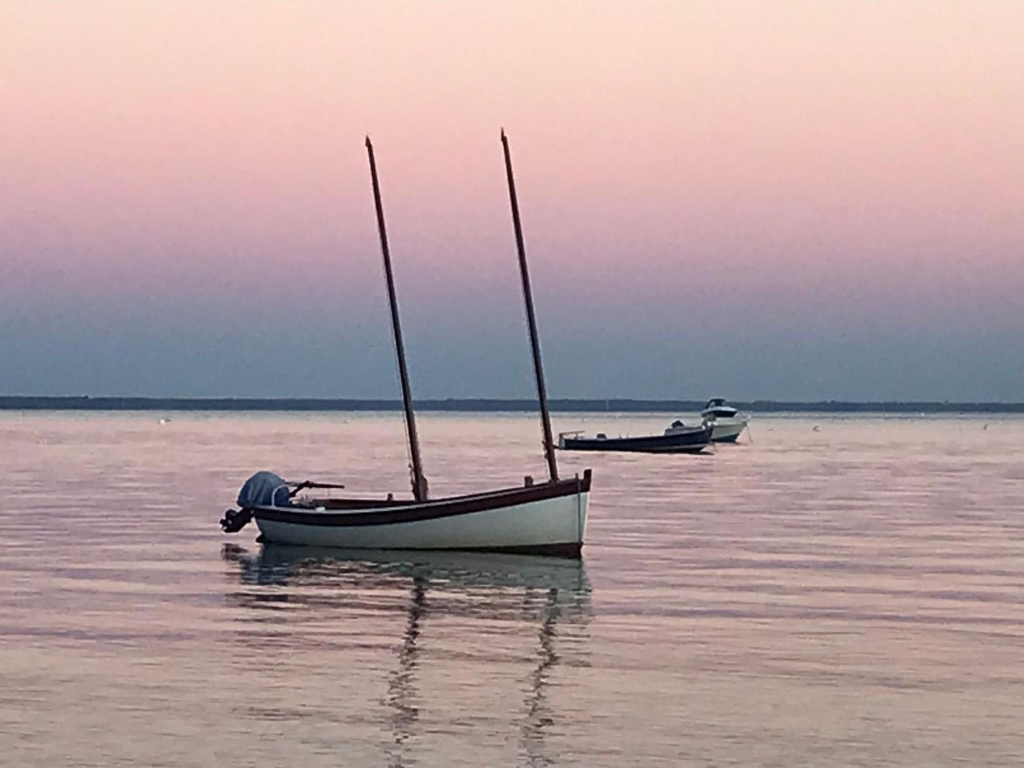 Cocon entre presqu'île du Cap Ferret et plages océanes - terrasse - vélo gratuit Ares Exterior foto