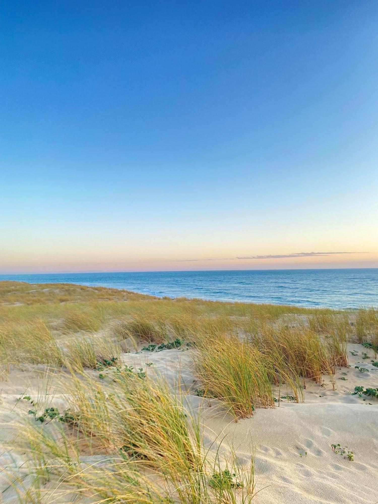 Cocon entre presqu'île du Cap Ferret et plages océanes - terrasse - vélo gratuit Ares Exterior foto