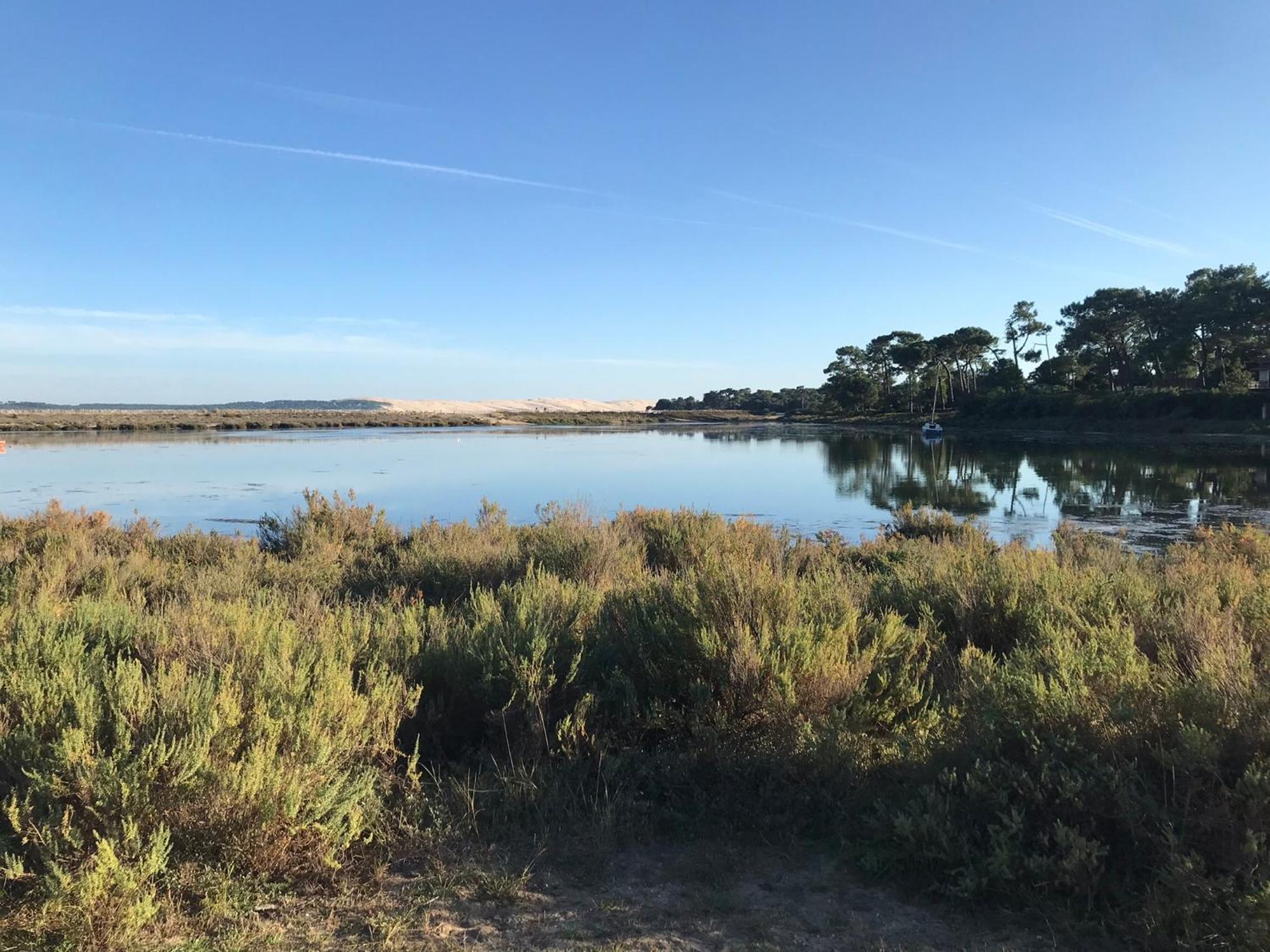 Cocon entre presqu'île du Cap Ferret et plages océanes - terrasse - vélo gratuit Ares Exterior foto